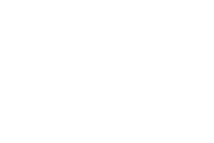 لوگو گریت وال و راین